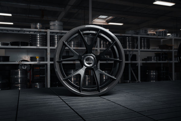 Gintani x AL13 | CF-G01